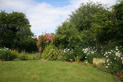 A garden