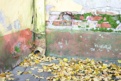 Autumnal