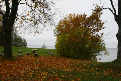Along the coast