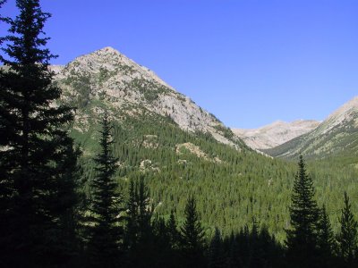 Glacial Valley, Not Much Evidence of Pine Bark Beetle Here