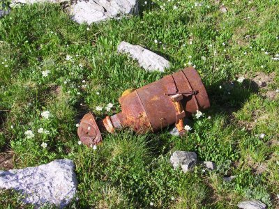 Some Sort of Intake Device, Among the Wildflowers