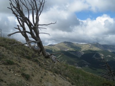 View Across Cottonwood Creek Drainage