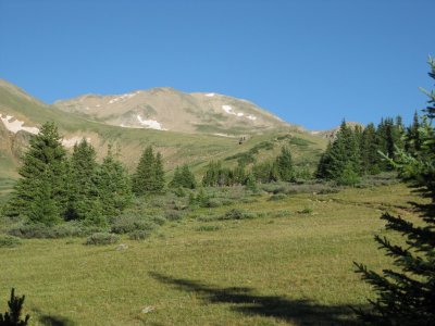 Approaching Treeline, First Glimse of Mt Massive's Summit