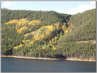 The Gold on the North Shore of Turquoise Lake