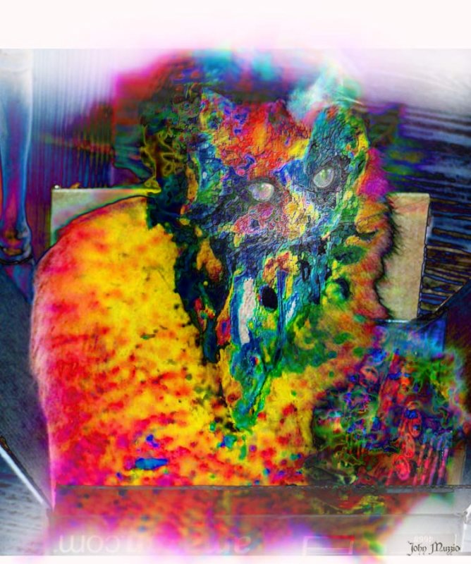 Kitty got into the paint