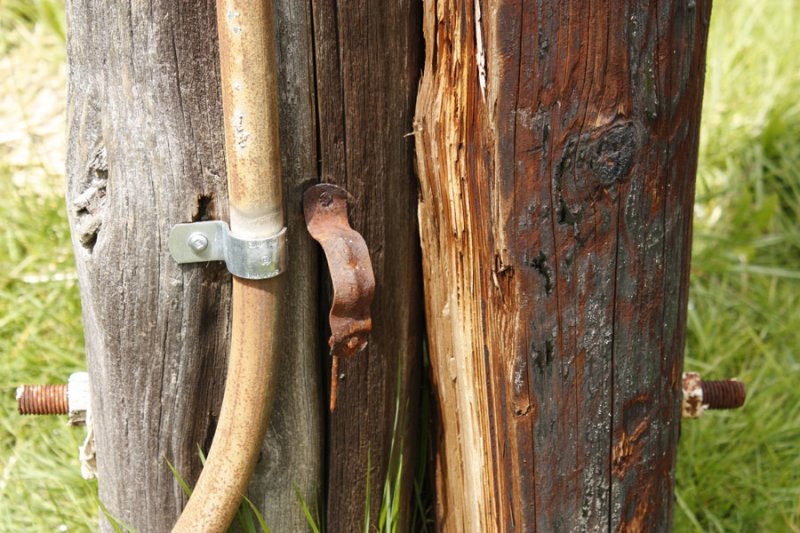 Telephone Poles