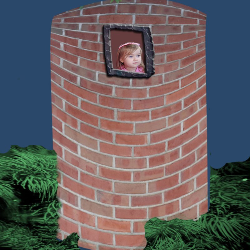 Youthful Rapunzel Wishing for a Playmate