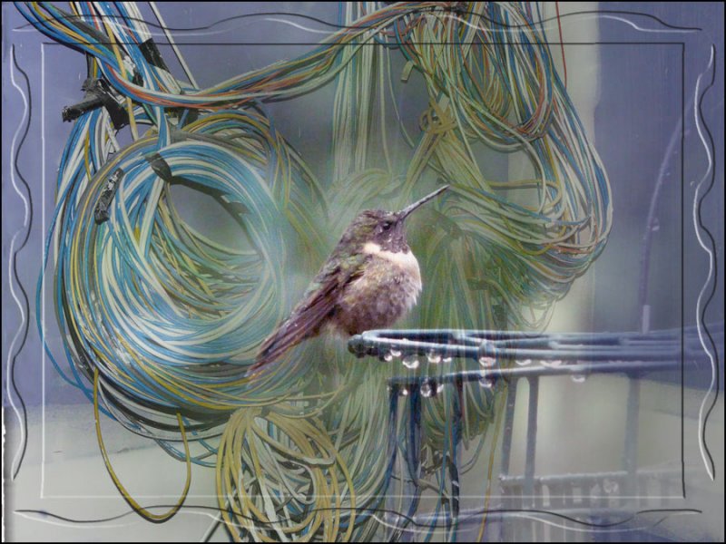 Wire is Good?