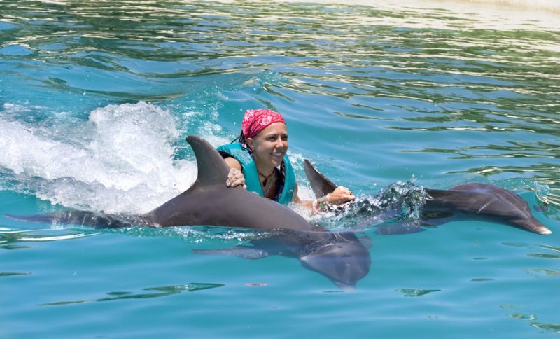 Fotolia_609570_S-swimmingwithdolphins.jpg