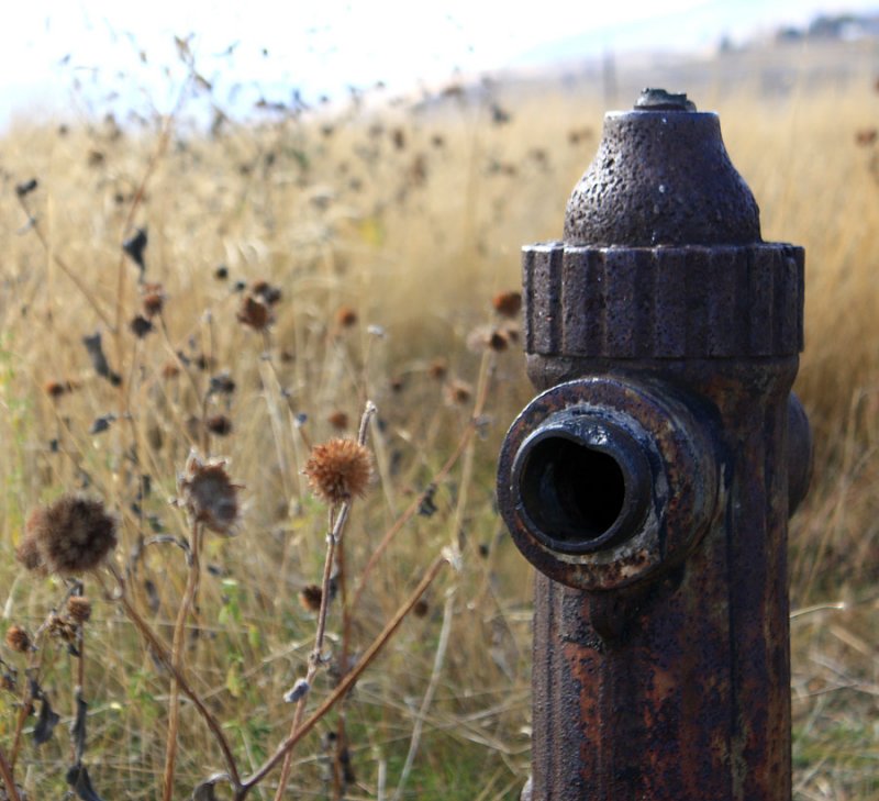 Abandoned Hydrant