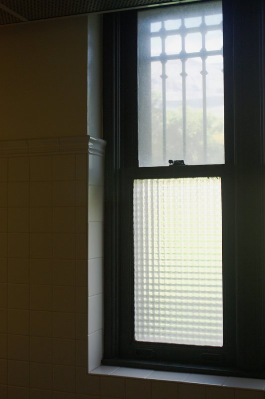 Window