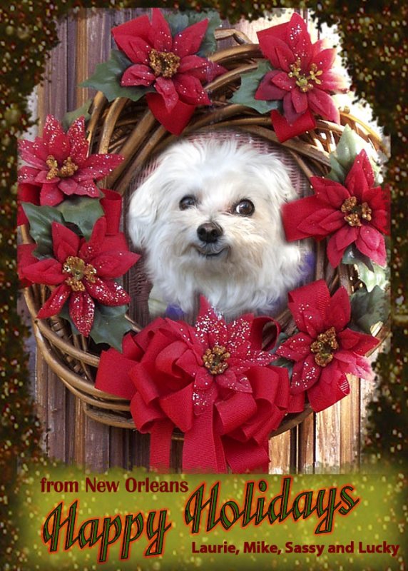 Merry Christmas from all of us.