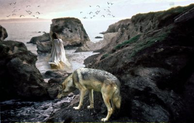 wolf and woman on beach