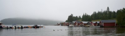 DSC_3521 rs.jpg