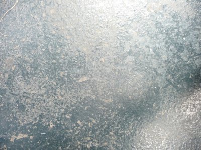 P1050075 rs.jpg