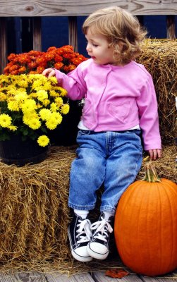 toddlerpumpkin rs.jpg