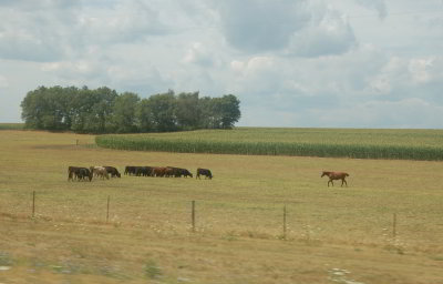 July 28 - Aug 4 2012 Grand Tour0015 rotcrop