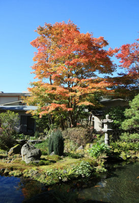 Japan - Hakone Zen Garden