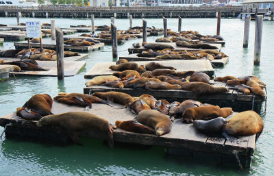 San Francisco - Fisherman's Wharf