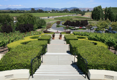 San Francisco - Taittinger Napa