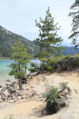 San Francisco - Lake Tahoe