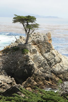 San Francisco - 17 Mile Drive