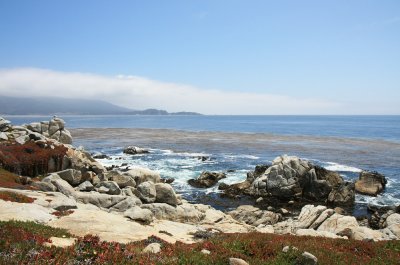 San Francisco - 17 Mile Drive