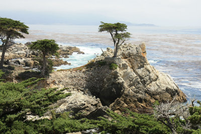 San Francisco - 17 Mile Drive