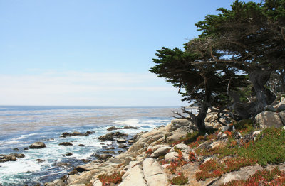 San Francisco - 17 Mile Drive