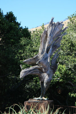 San Francisco - Big Sur
