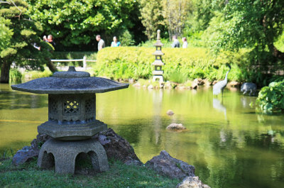 San Francisco - Japanese Garden