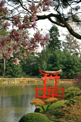 New-York Botanical Garden - Japanese Garden