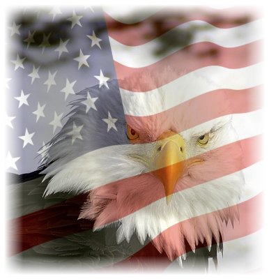 My eagle with flag.