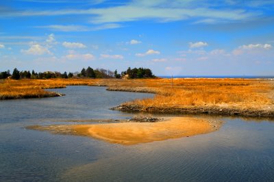 Salt Water Marsh-April