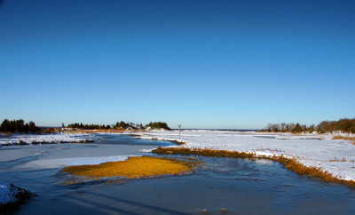 Salt Water Marsh.-January