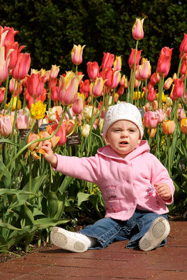 Maia and tulips