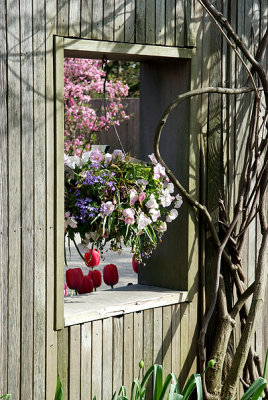 Window and red tulips