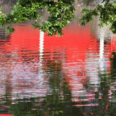 Carshalton Pond Reflection
