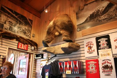 Juneau - the Red Dog Saloon gift shop - yes, the front half of the bear is on the other side of the wall, in the saloon proper!