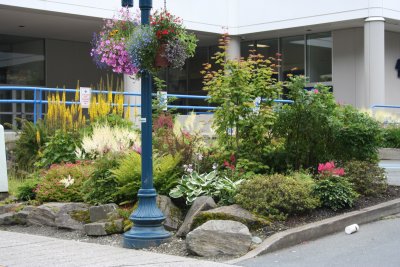 Juneau - flowers everywhere, it is summer after all, and Juneau is technically a temperate rainforest