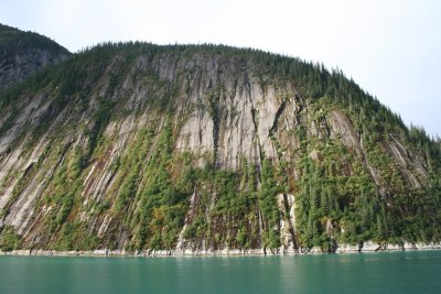 Typical coastline along the Inside Passage coastline
