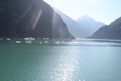 Approaching an ice field as we get close to a glacier.