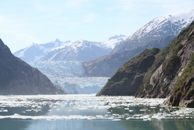 Ice field in front of Sawyer Glacier.