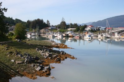 Wrangell harbor.