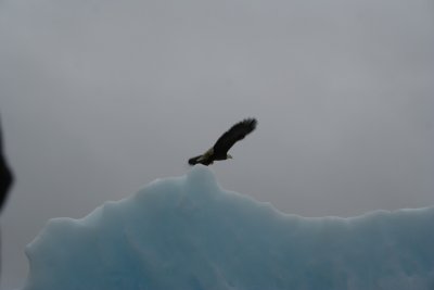 ... and he takes off.