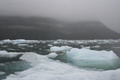 Taking a jetboat through the icefield to LaConte Glacier.