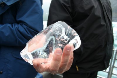 A little chunk - called a growler - that our guide fished out for us to see.