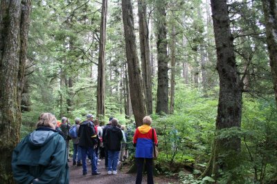 Southeast Alaska is a temperate rainforest.