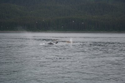Point Fredrick - down they go.
