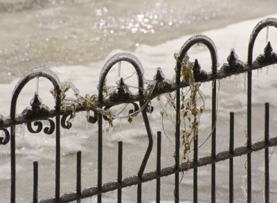 Neighbor-Fence_3601-1.jpg